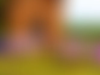 В Городищенском районе прошли съемки программы "Наша фишка" телеканала "Экспресс"