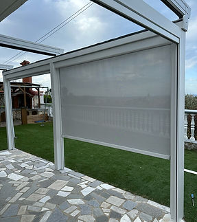 Image WhatsApp 2025-11-11 à 11:27:17_590a8355.jpg