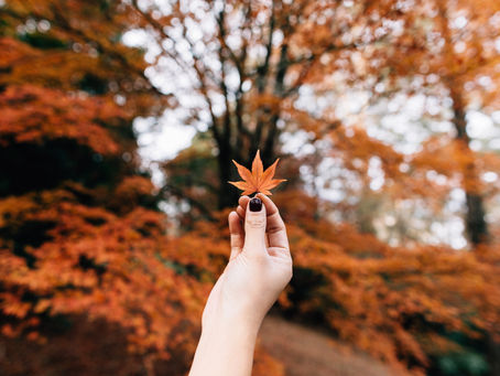 Key to a Mindful Festive Season