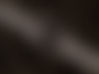 Dial and Bezel: The First Auction House for Vintage Watches