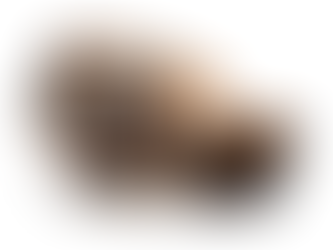 MR PORTER x The Haulogerium 27/03/2019: Our Top Picks for The Week