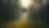 Eye-level view of a drone flying over a forested area