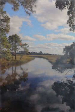 Low Country Reflections
