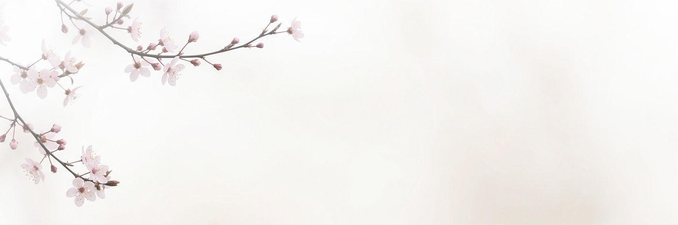 Final background
