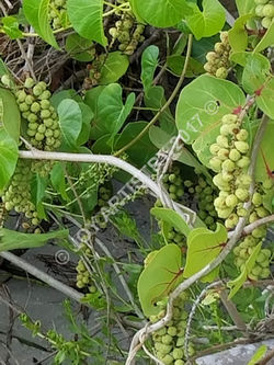 .facebook_1523473664883