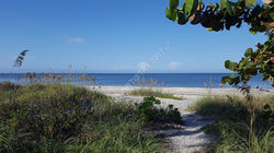 Condo Sea Oats Florida