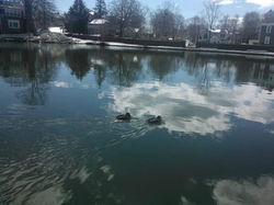 reflection-clouds-in-pond