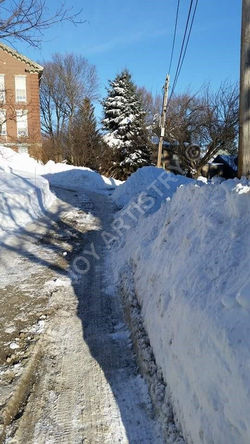 DIGGING OUT, MARBLEHEAD, MA
