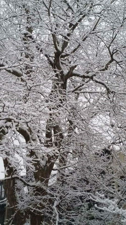 look-up-to-the-snowy-sky