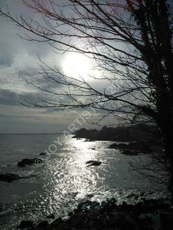 peaceful-frozen-serenity