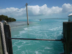 189471630_2879896748995051_2019591714623