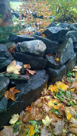 Hard Landing Among the Leaves