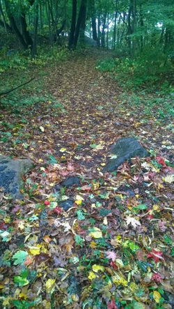 watch-your-step-in-fall