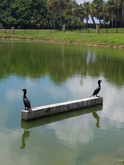 never-talking-to-you-again