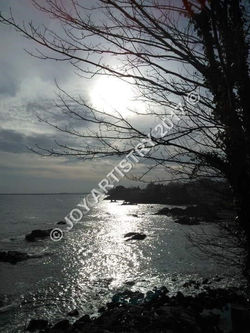 reflections-on-water