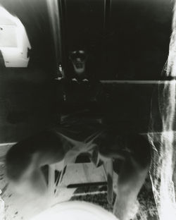cristina trujillo photography
