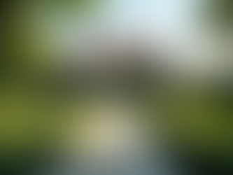 Luxury Property Management: What Sets Us Apart