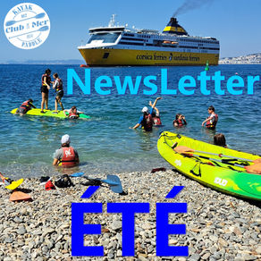 đNEWSLETTER đ„” ĂTĂ â±ïžđ