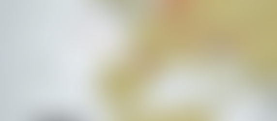 Connecting Portugal to Vietnam: EPA LINK's Success Stories