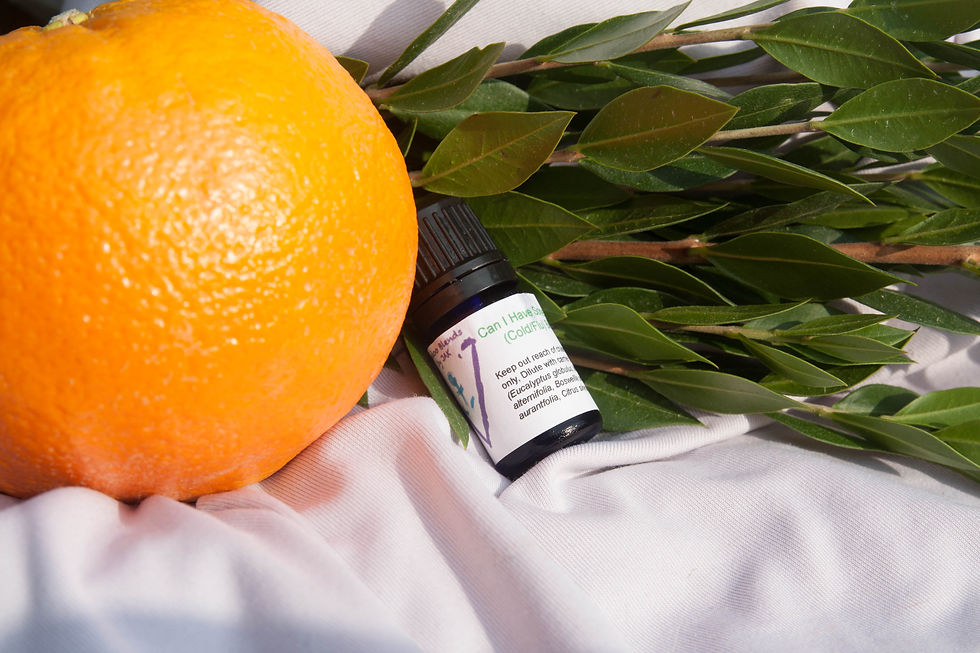 I Need a (Cold) Remedy - Adult Version