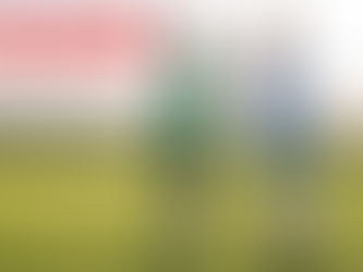 Discipline During Match & Fixtures