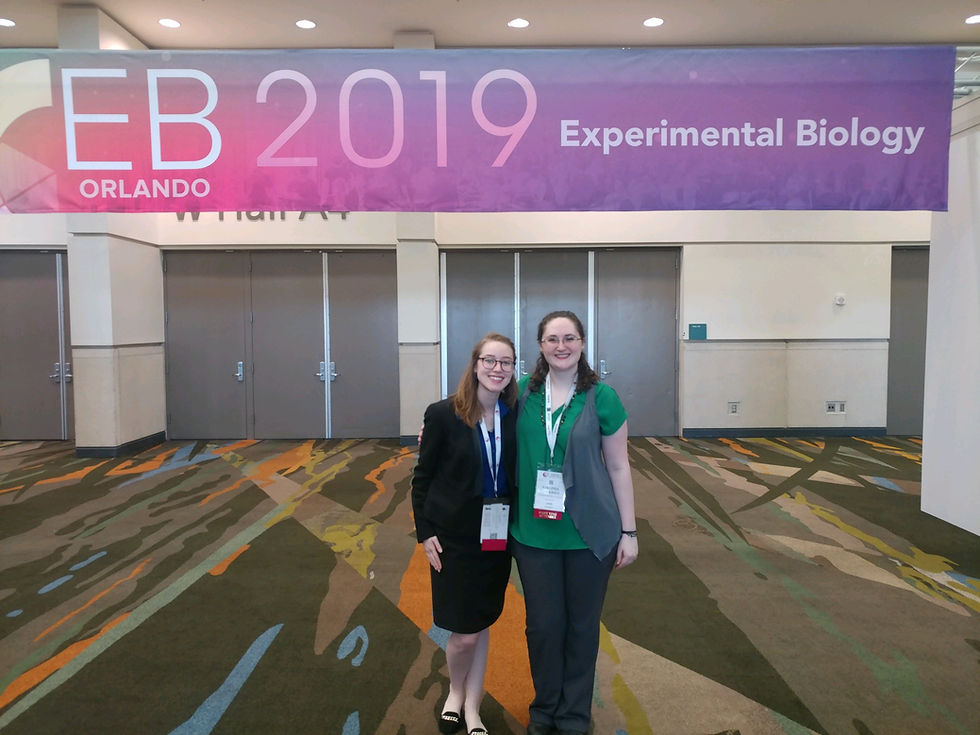 EB 2019