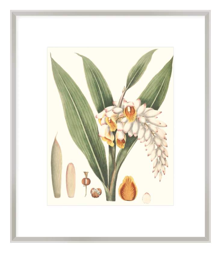 Tropical Artwork 1