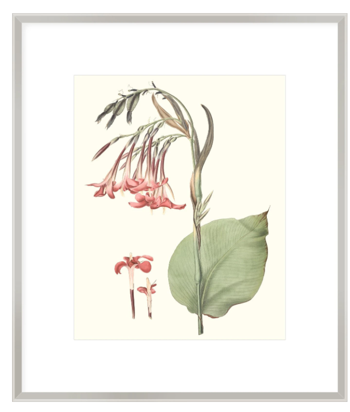 Tropical Artwork 2