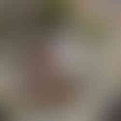 Exquisite, high-quality table runner that adds a refined and decorative accent to any dining or buffet table.