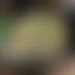 Unique, round placemat with intricate embroidery, adding a touch of sophistication to your dining decor.