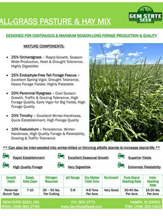 Forage Grass Mix - Pasture Seed