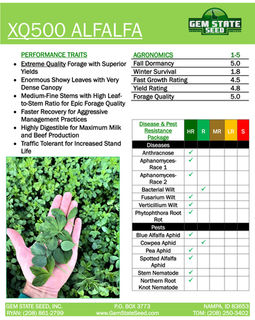 Extreme High-Quality Alfalfa
