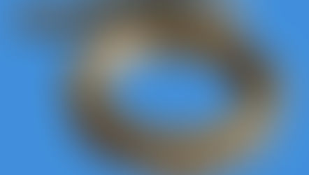 Understanding Worms and Worm Gears in Mechanical Engineering