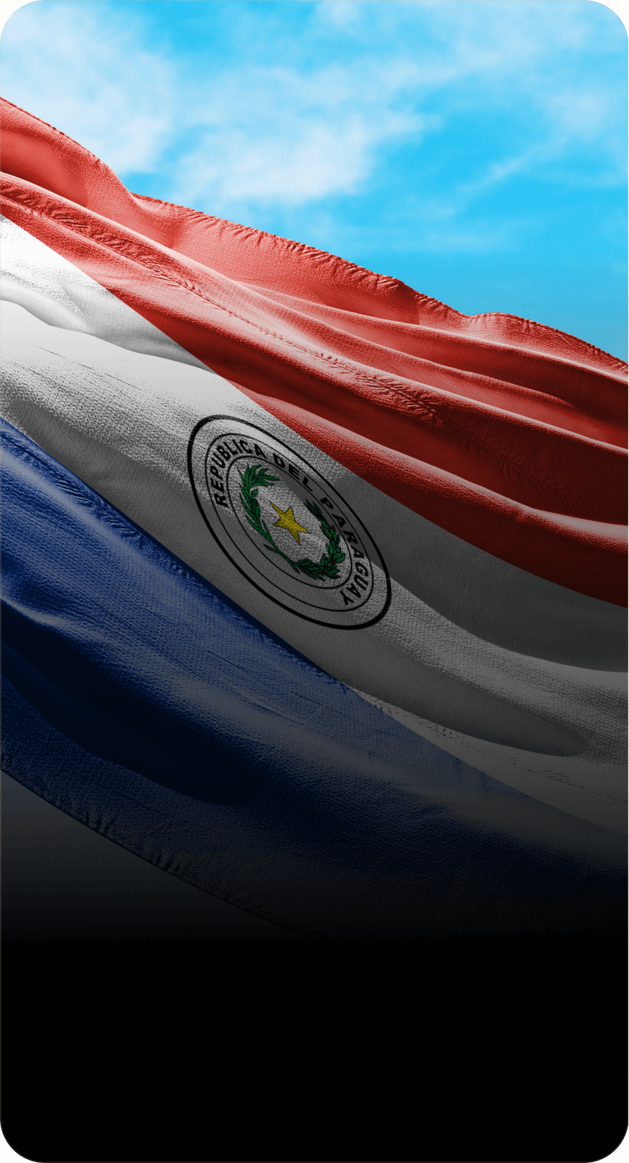 672cf9984a46eecc61160eb9_image-flag-6.png
