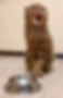 Screenshot 2025-05-01 at 6.23.50 p.m..png