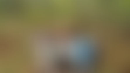 Walking in the woods with Williams Elementary