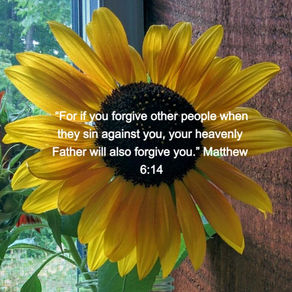 Have you ever been rejected?