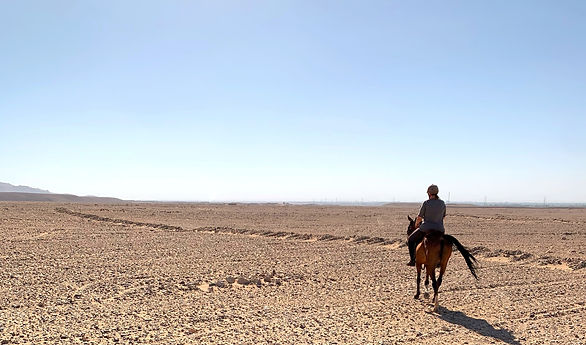 DESERT%20RIDING%20LUXOR_edited.jpg