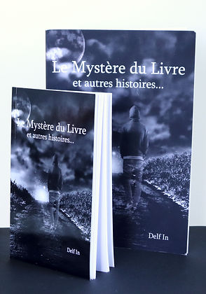 Mystère-du-livre_resultat.jpg