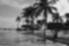 Coastal Beach