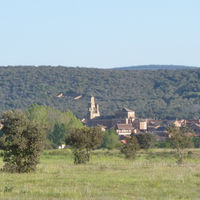 p1010014