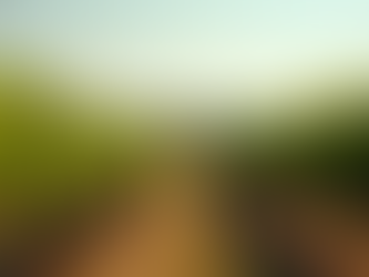 The Allure of Local Texas Vineyards: Exploring Texas Vineyards Culture