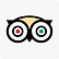 Trip Advisor Social Icon