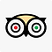 Trip Advisor Social Icon