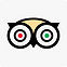 Trip Advisor Social Icon