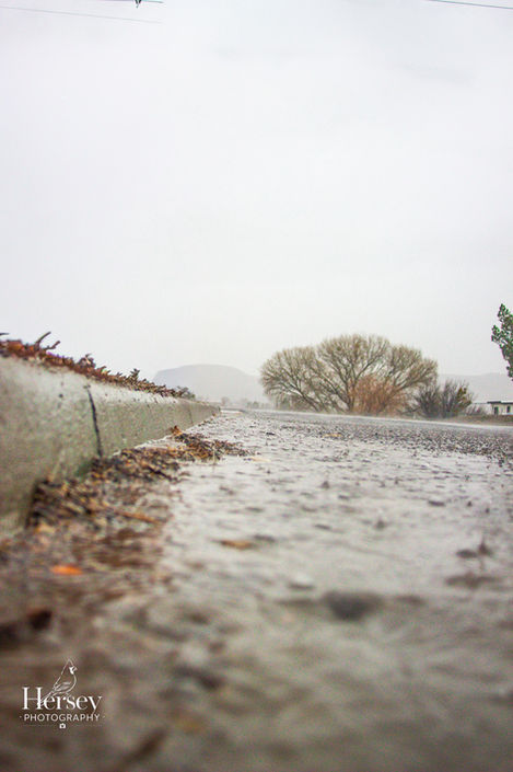 The Asphalt Mirror