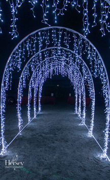 Portal to Night Magic