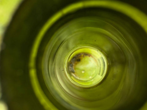 Through the Green Glass - A Bottle’s Perspective