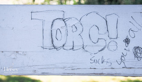 TorC Graffiti on Wodden Bench