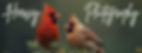 Hersey Photography Header.jpg